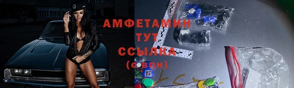 твердый Богородск