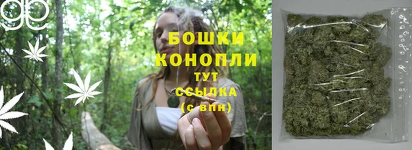 ешки Богданович