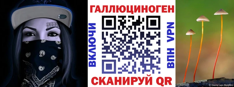 где купить наркотик  Ветлуга  Галлюциногенные грибы GOLDEN TEACHER 